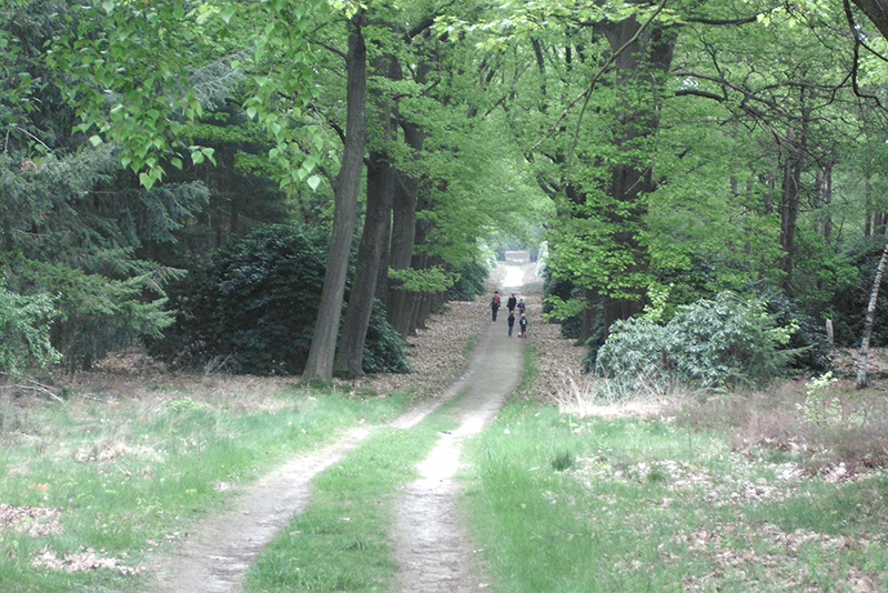 Genieten van prachtige wandelroutes