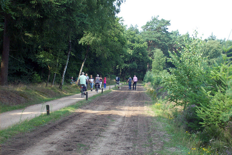 fietsen en wandelen