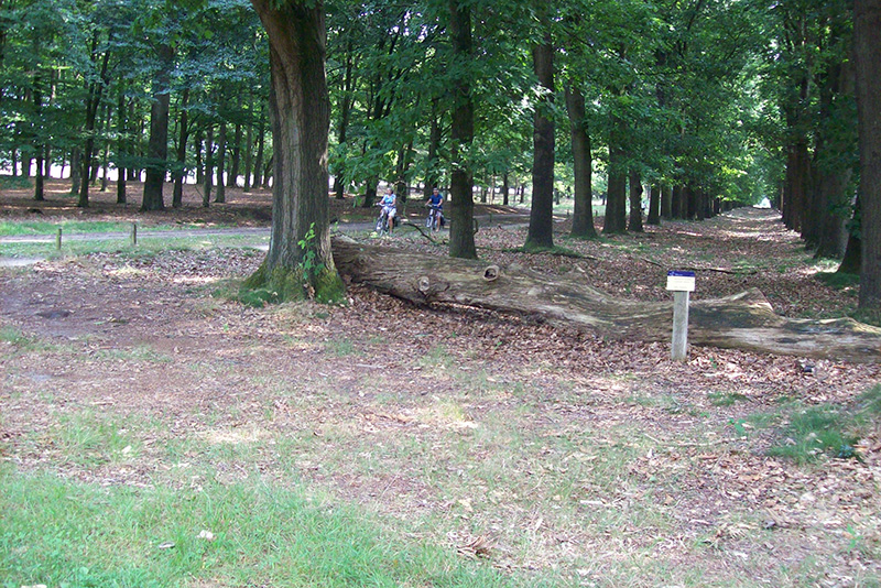 Genieten van prachtige fietsroutes